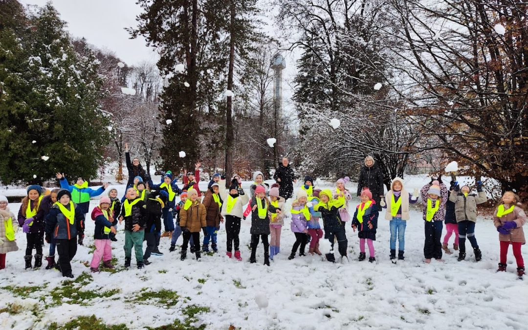 Prvi sneg in njegove radosti